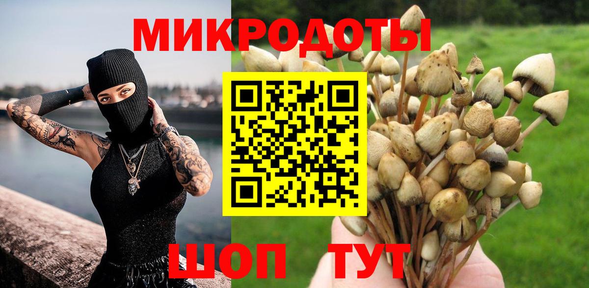 Звенигород  где можно купить наркотик  Вход с VPN  Псилоцибиновые грибы мицелий 